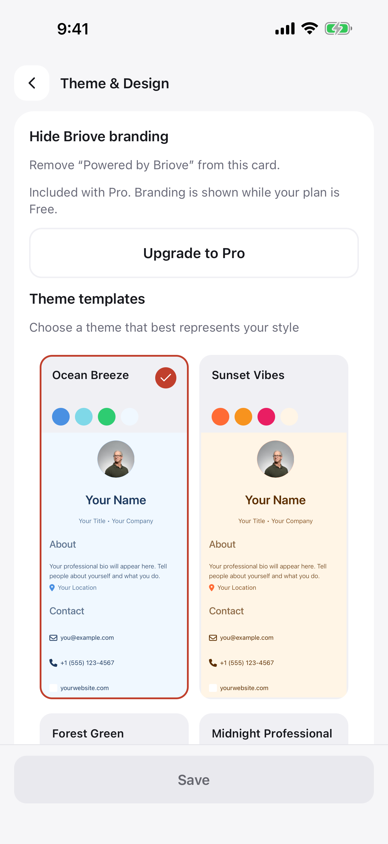 Choosing a theme for a Briove profile
